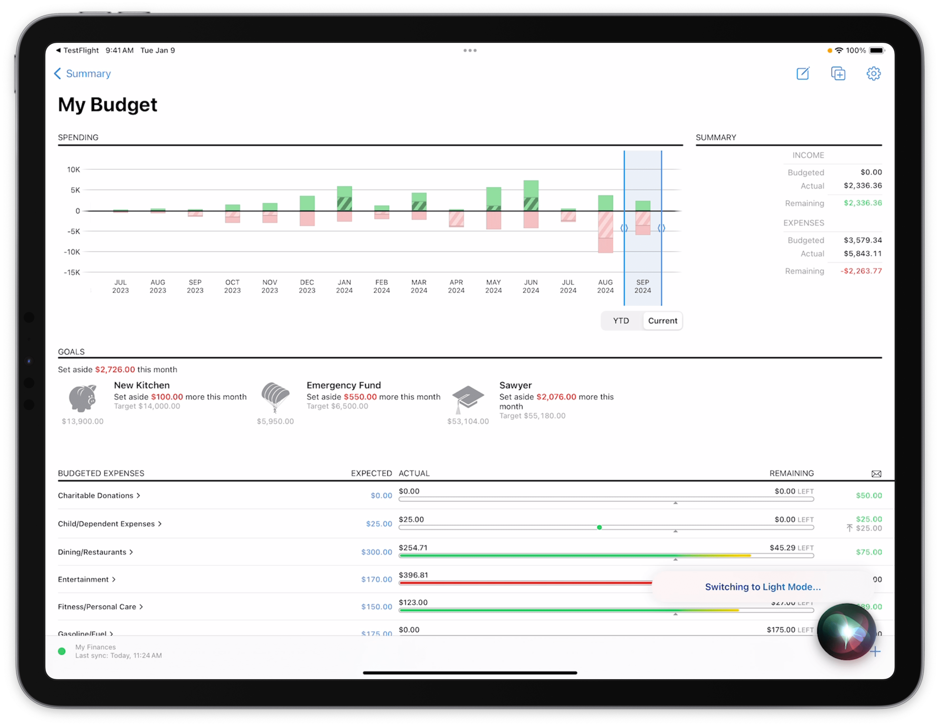 Screenshot of budget on iPad