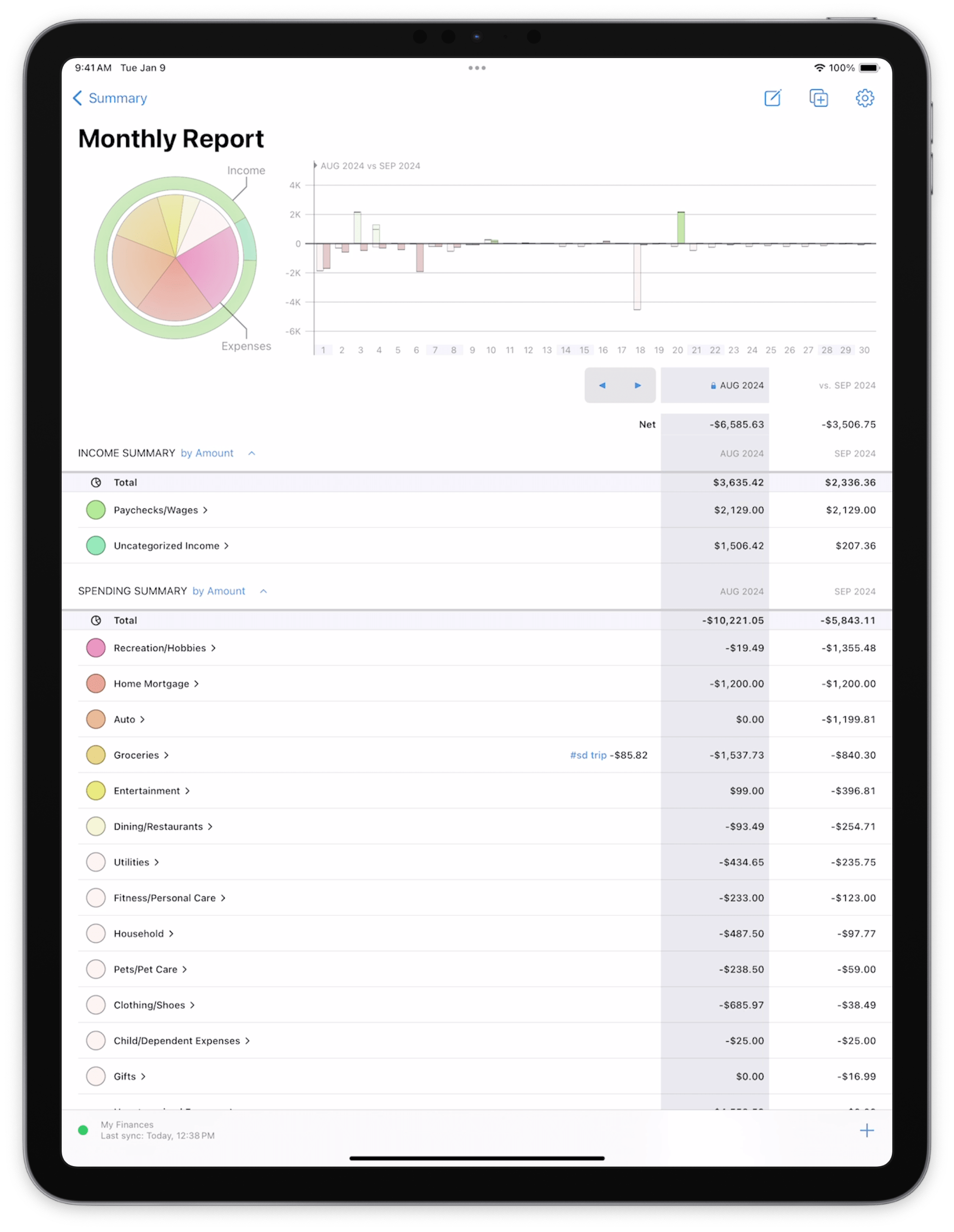 Screenshot of income and expense report on iPad