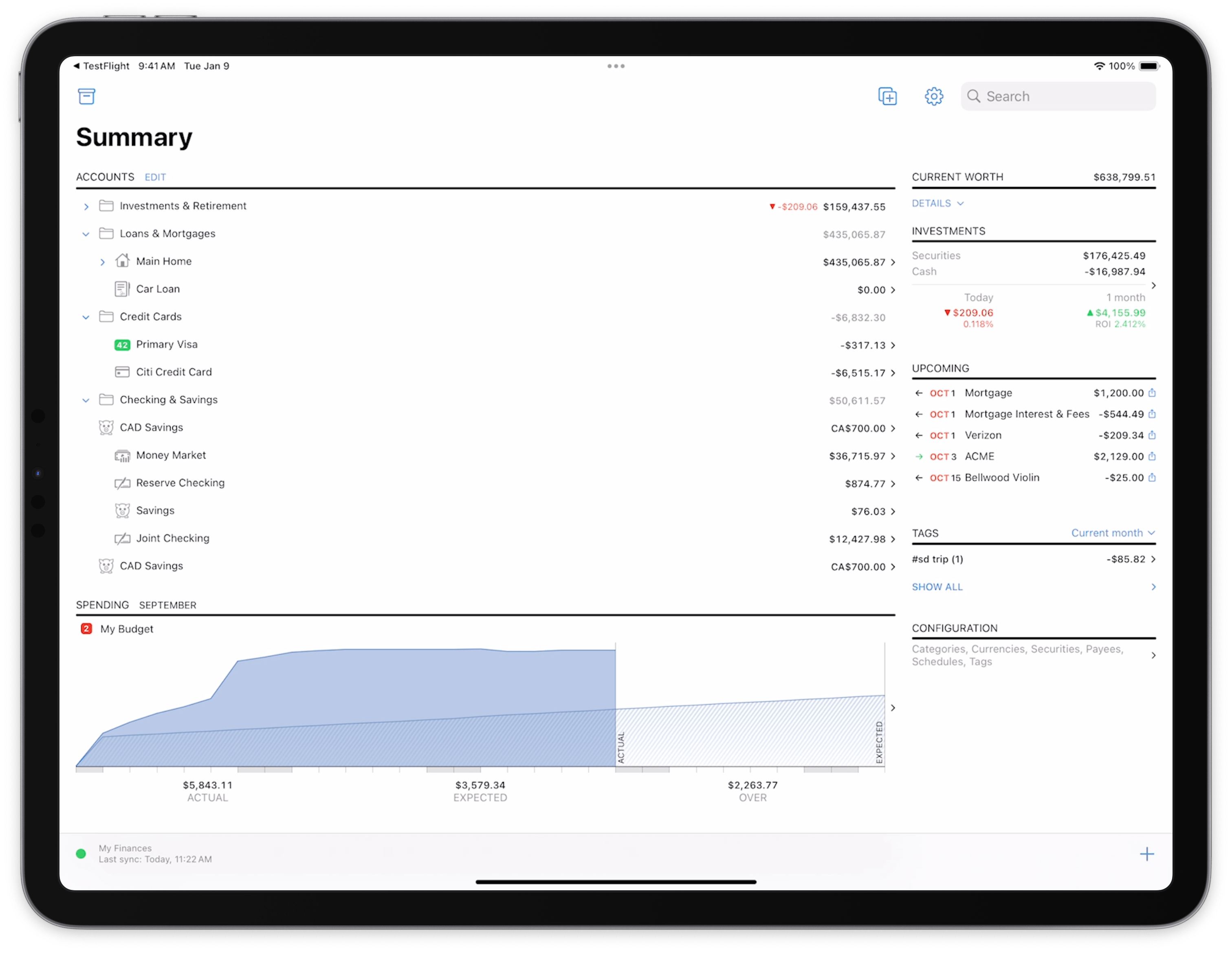 Screenshot of summary on iPad