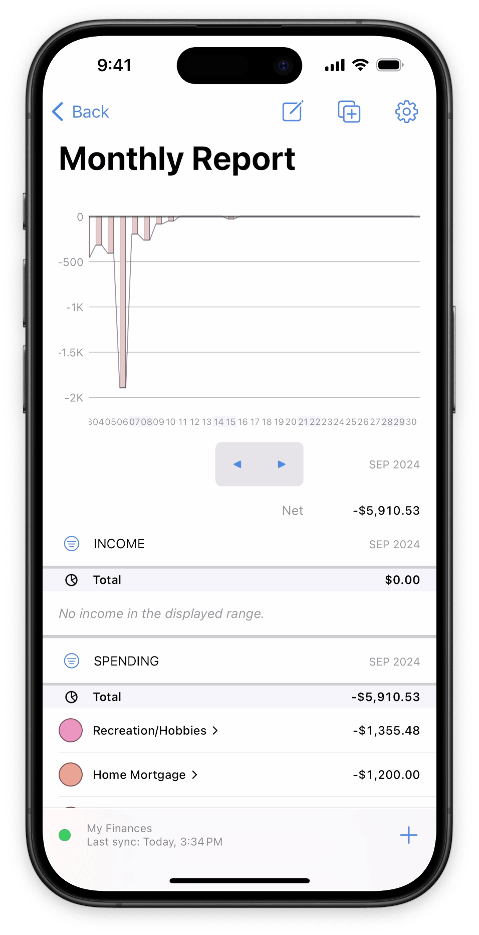 Monthly income and expense report